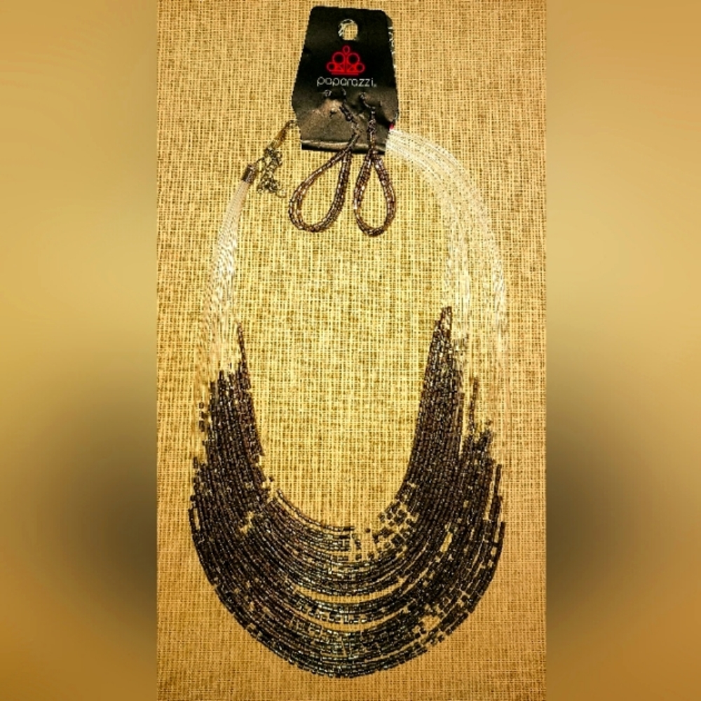 Paparazzi Necklace and Earring Set